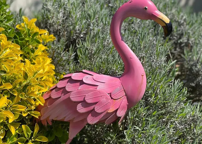 D'hôte Chez Roberto Et Hervé